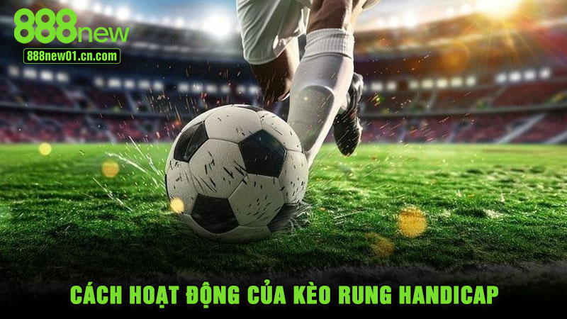 Cách hoạt động của kèo rung handicap