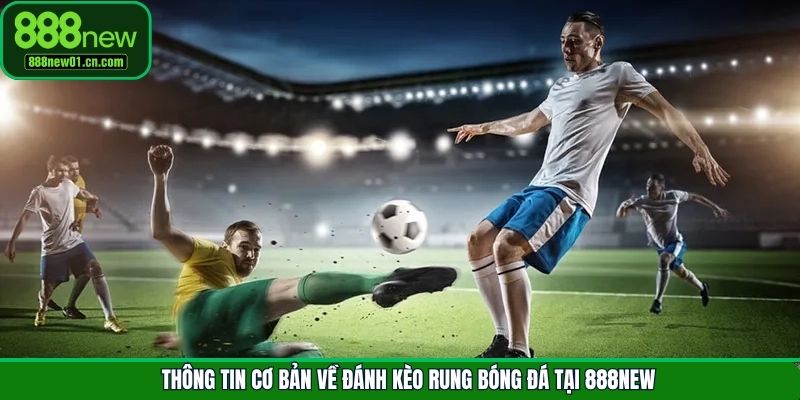 Thông tin cơ bản về đánh kèo rung bóng đá tại 888New